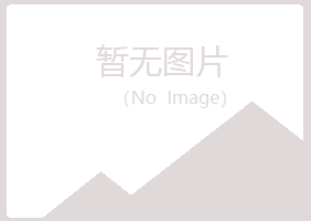 赤峰松山藏心化学有限公司